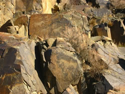 泰姆格裡岩刻考古景觀