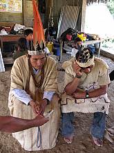 艾敘瓦：秘魯華奇帕勒族的母語祈禱歌