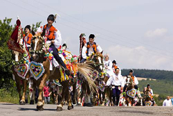 捷克東南部的國王遊行馬隊