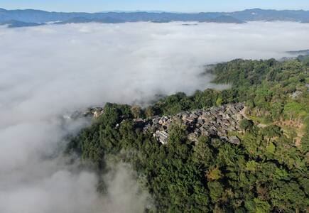 普洱市景邁山的古茶林文化景觀