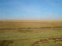 薩利亞喀，哈薩克北部的疏樹草原和湖泊
